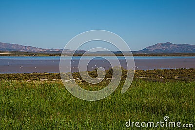 Lagoon. Stock Photo